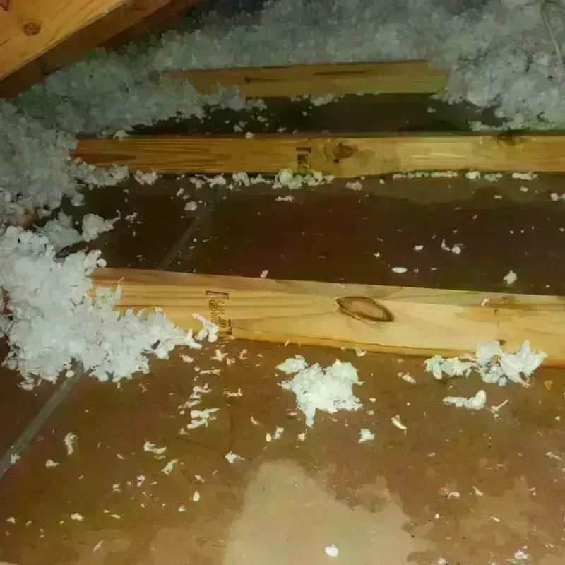 Attic Water Damage in Murray County, GA