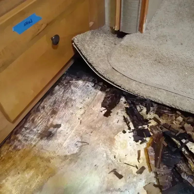 Best Wood Floor Water Damage Service in Murray County, GA